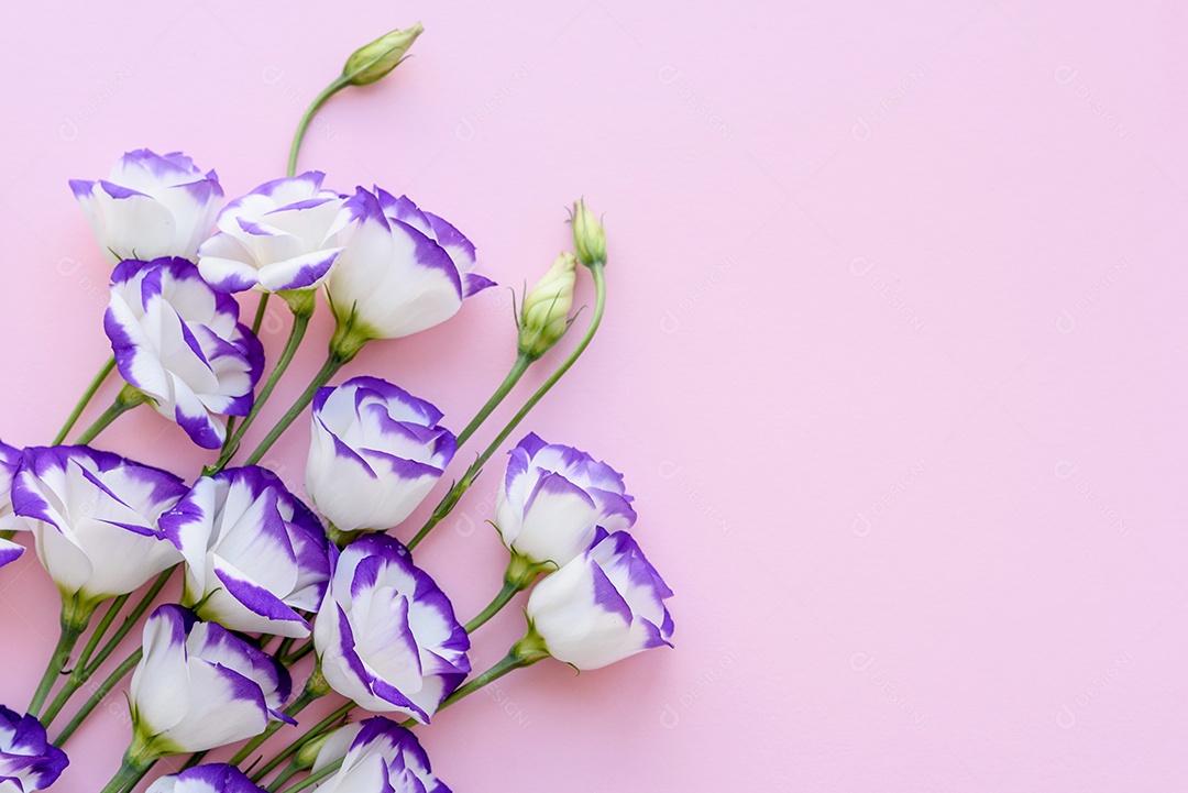 Um buquê de lindo eustoma roxo recém-cortado em um fundo de uma tonelada. Fundo com lindas cores