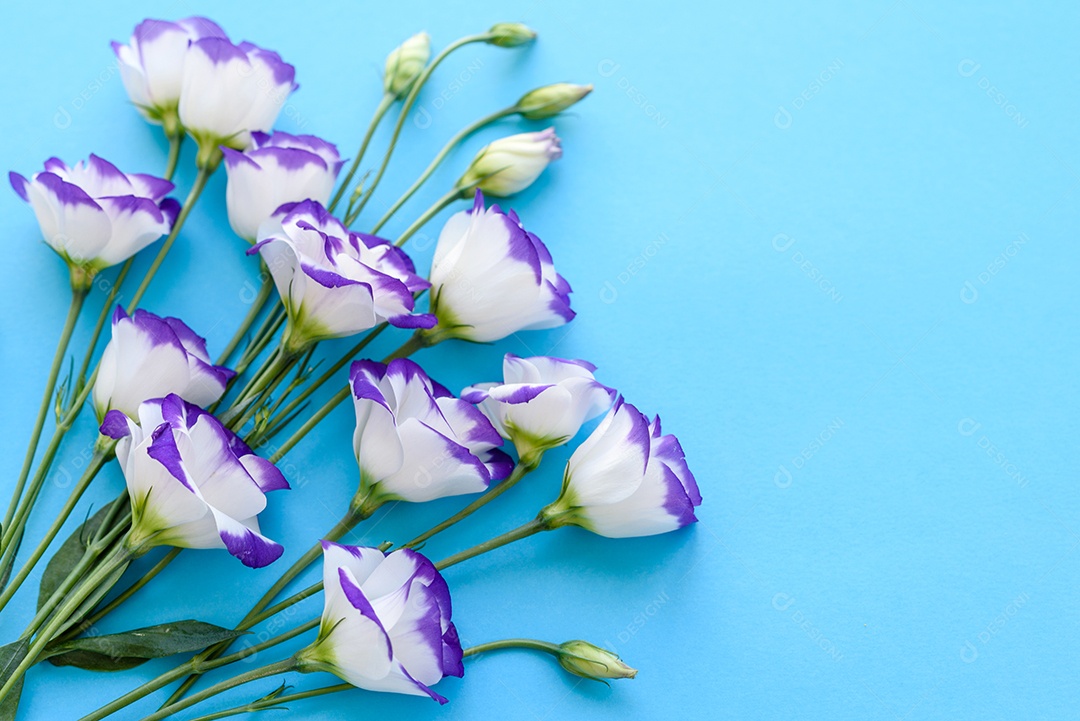 Um buquê de lindo eustoma roxo recém-cortado em um fundo de uma tonelada. Fundo com lindas cores
