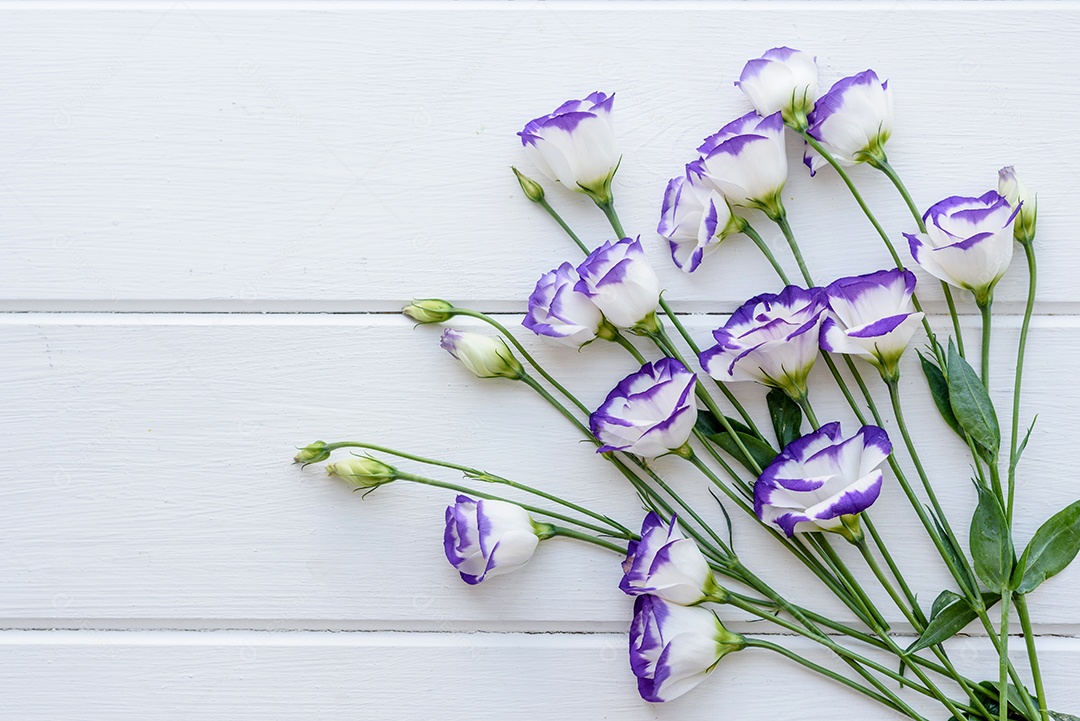 Um buquê de lindo eustoma roxo recém-cortado em um fundo de uma tonelada. Fundo com lindas cores