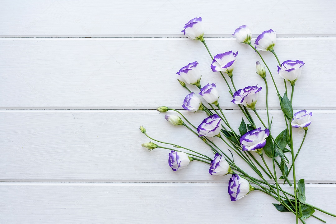 Um buquê de lindo eustoma roxo recém-cortado em um fundo de uma tonelada. Fundo com lindas cores