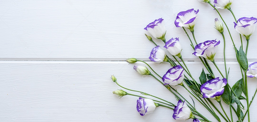 Um buquê de lindo eustoma roxo recém-cortado em um fundo de uma tonelada. Fundo com lindas cores