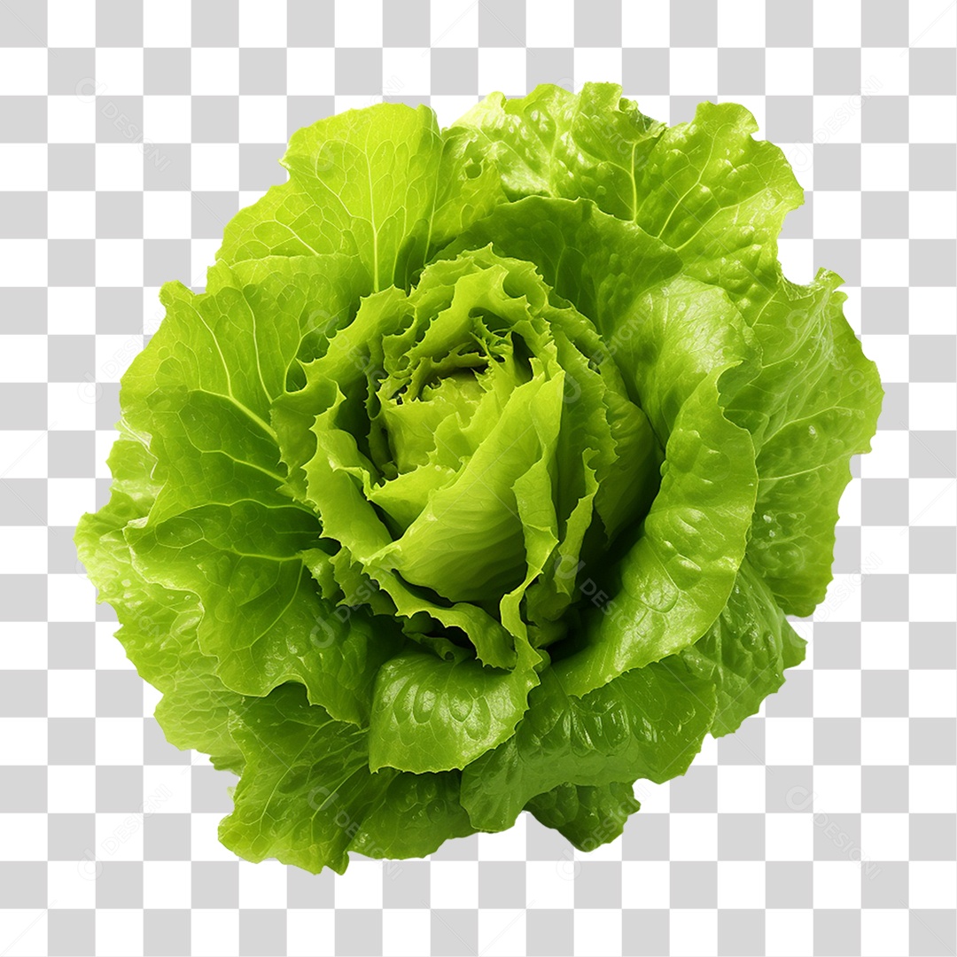 Alface Vegetal Legumes PNG Transparente