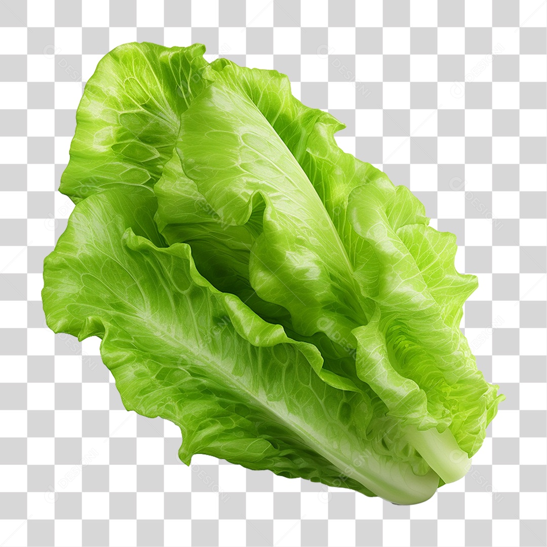 Alface Vegetal Legumes PNG Transparente