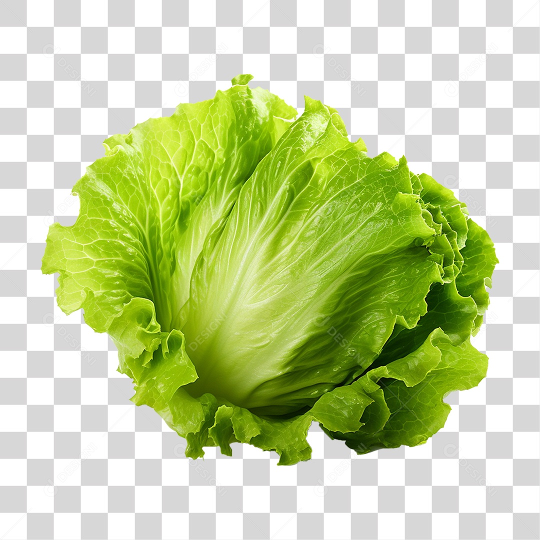 Alface Vegetal Legumes PNG Transparente