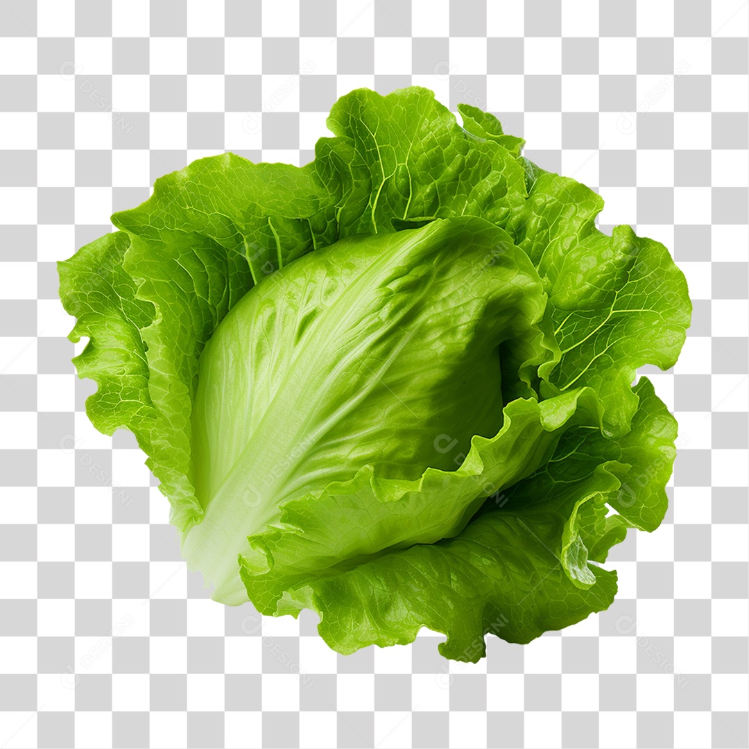 Alface Vegetal Legumes PNG Transparente