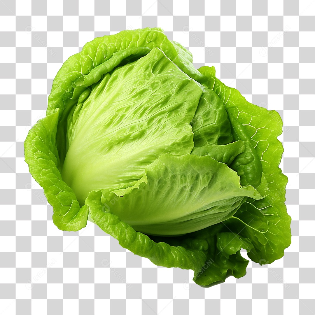 Alface Vegetal Legumes PNG Transparente