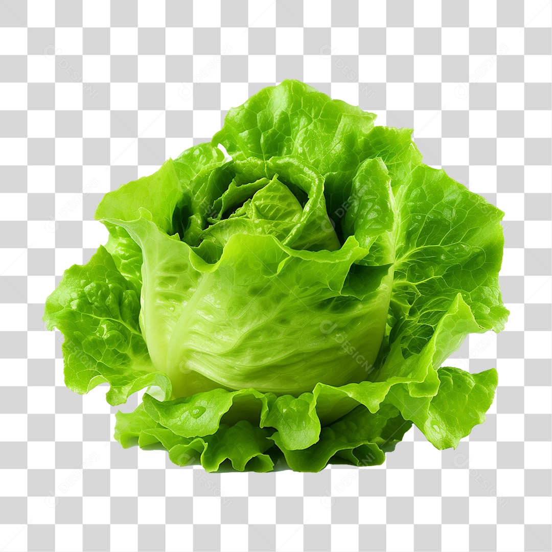 Alface Vegetal Legumes PNG Transparente