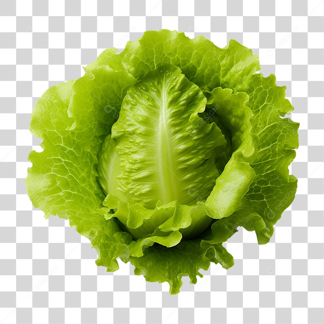 Alface Vegetal Legumes PNG Transparente