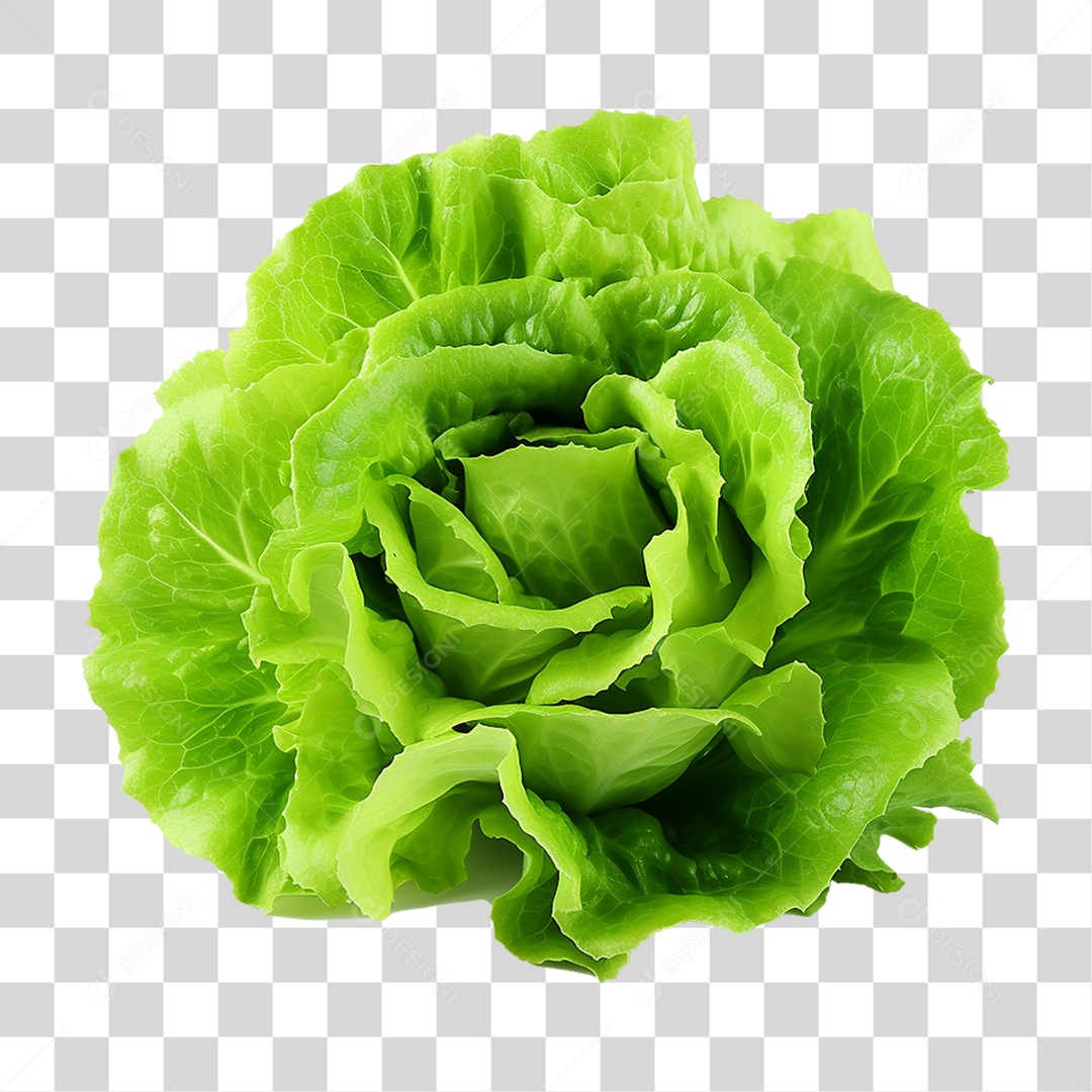 Alface Vegetal Legumes PNG Transparente