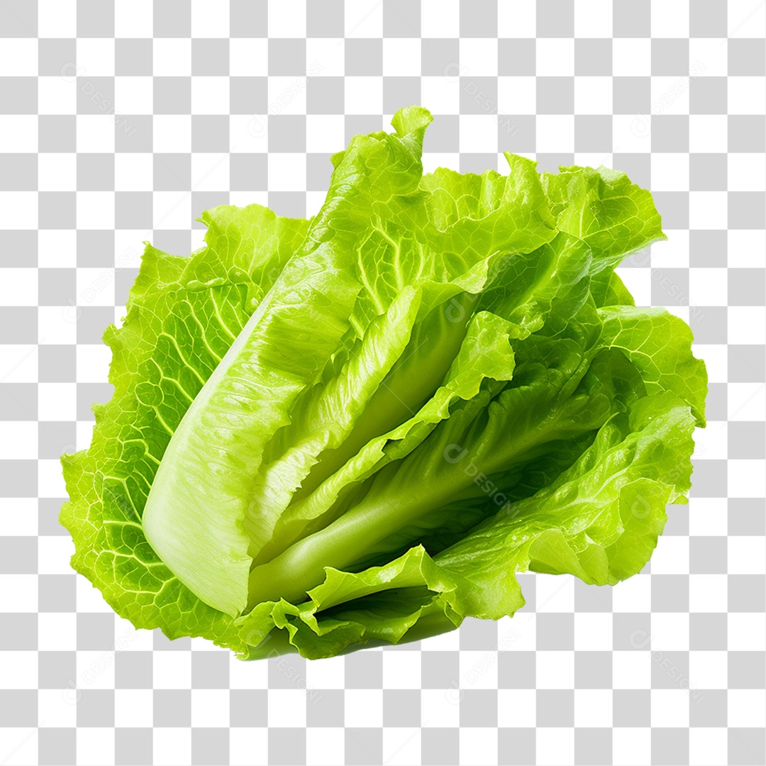 Alface Vegetal Legumes PNG Transparente