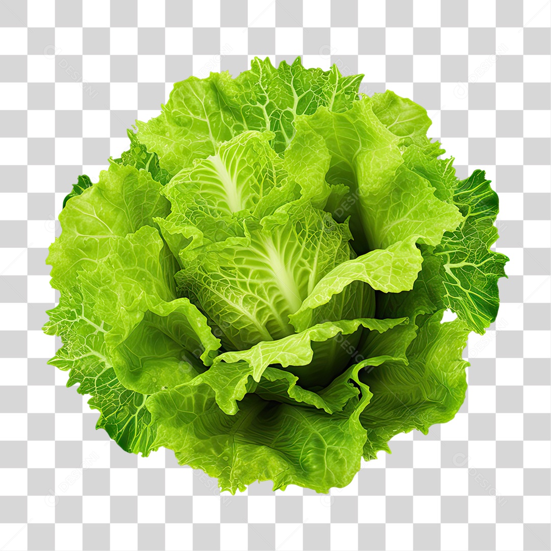 Alface Alimento Vegetais PNG Transparente