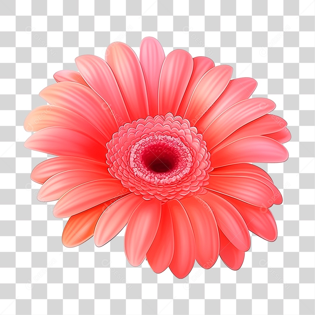 Flor de Jasmim PNG Transparente