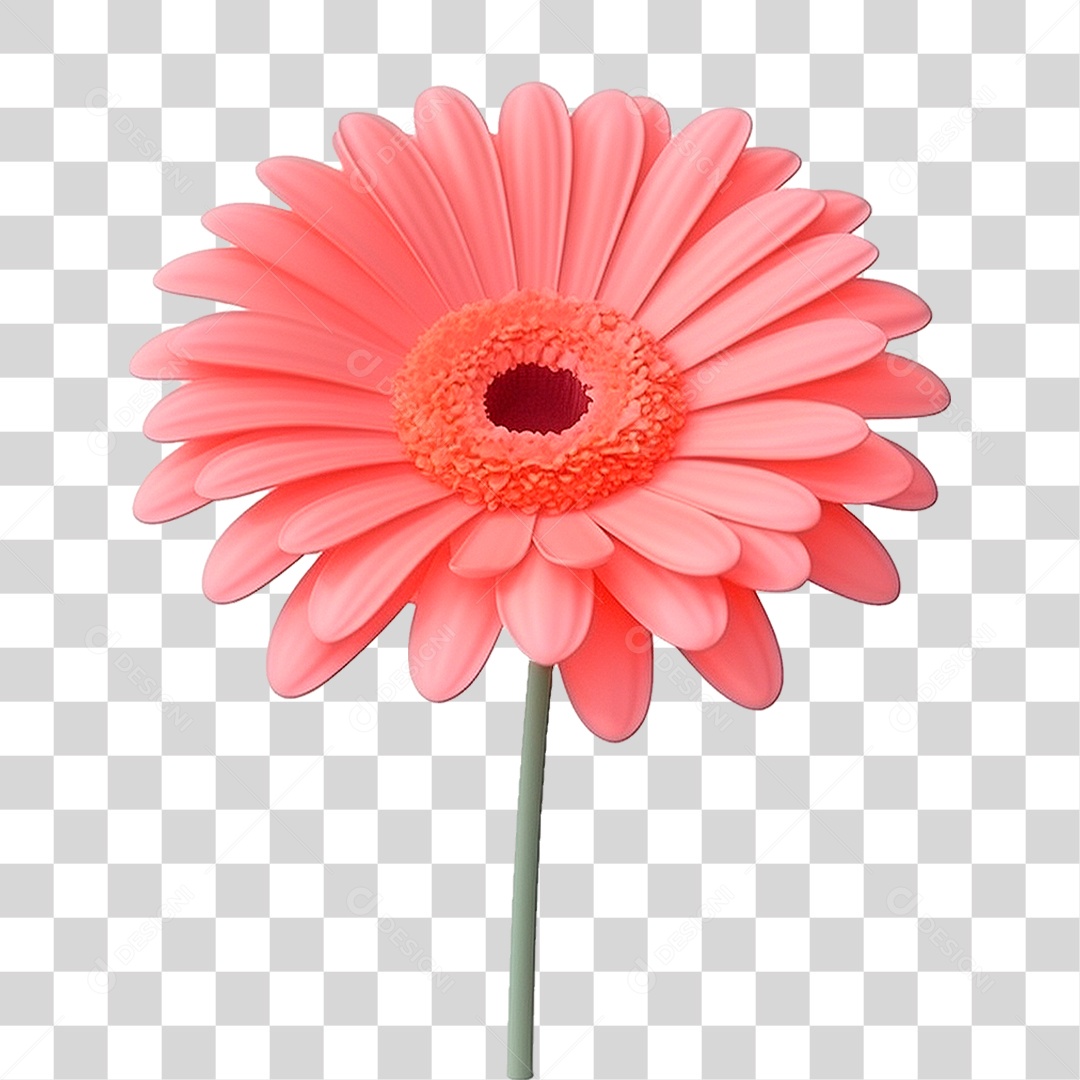 Flor de Jasmim PNG Transparente