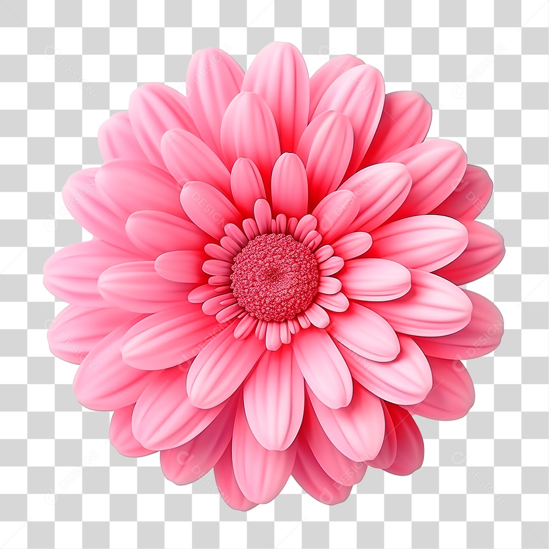 Flor de Jasmim PNG Transparente