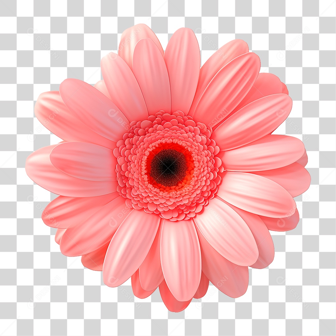 Flor de Jasmim PNG Transparente