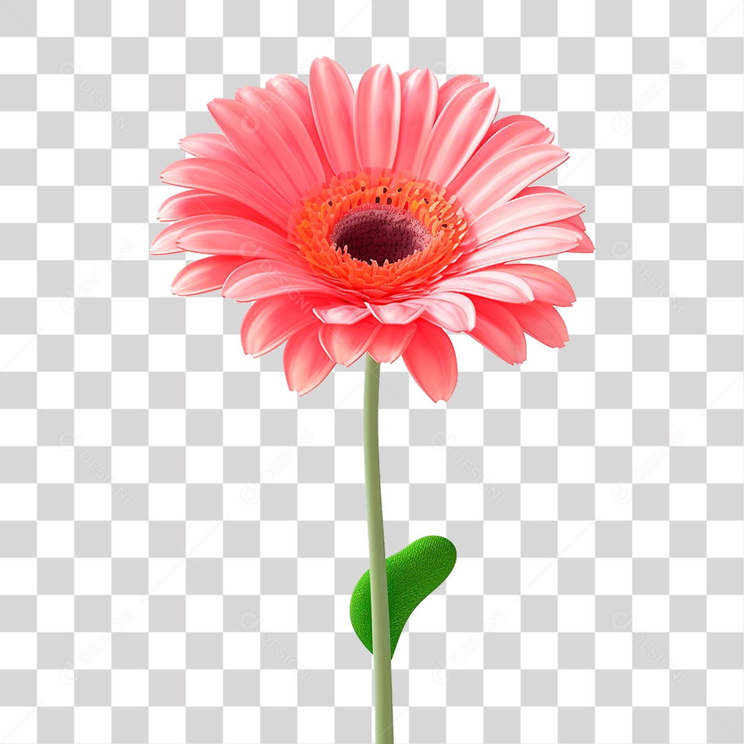 Flor de Jasmim PNG Transparente