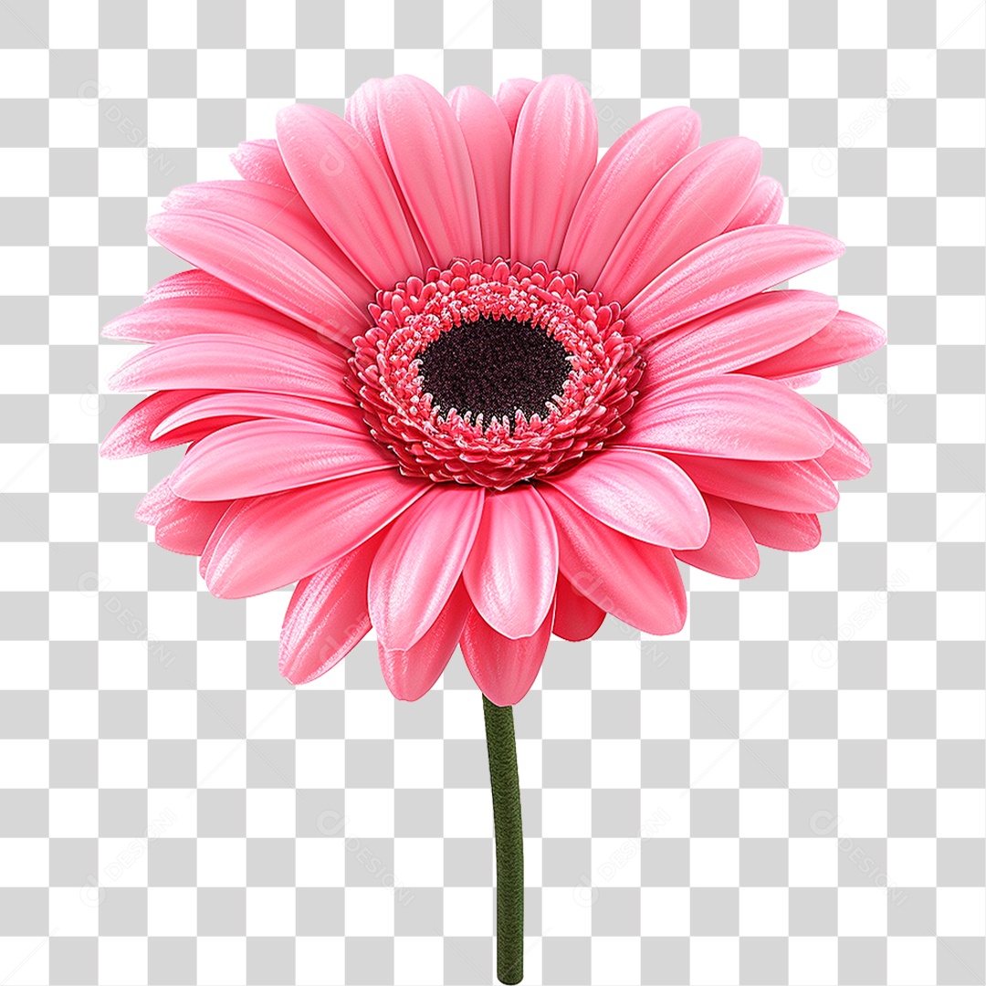 Flor PNG Transparente