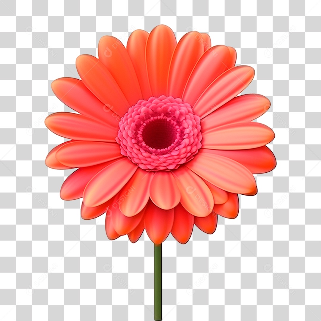 Flor PNG Transparente