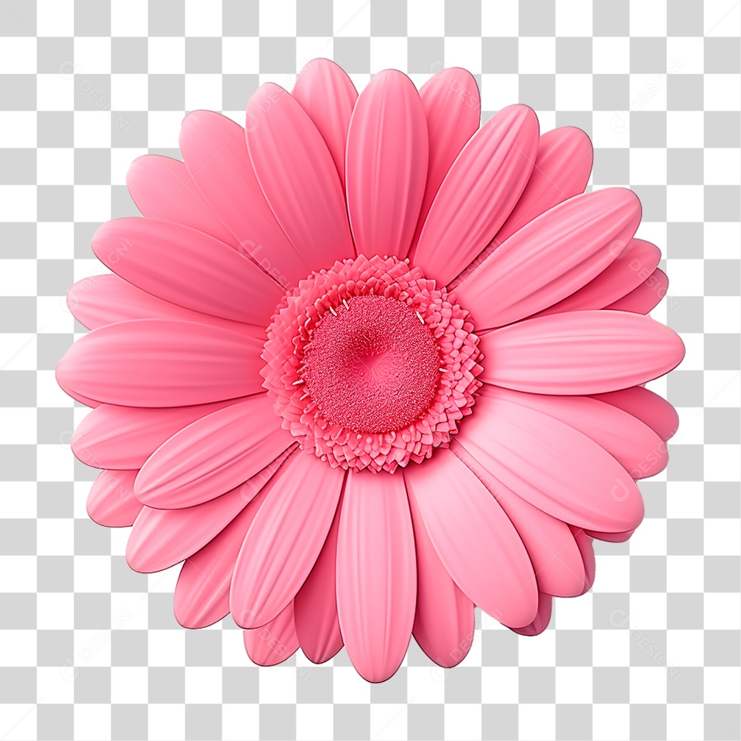 Flor PNG Transparente