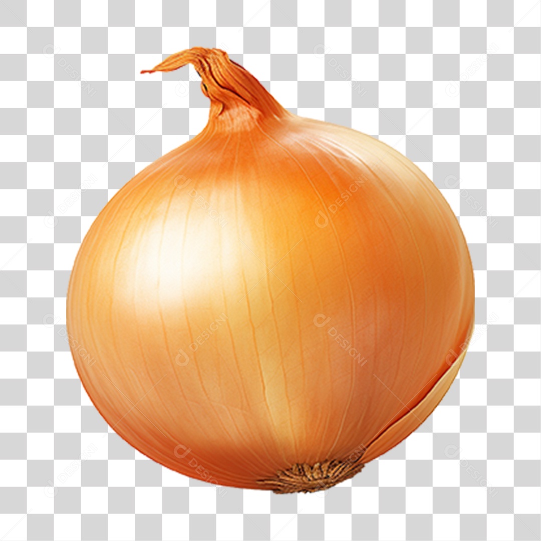 Cebola Legumes Temperos PNG Transparente