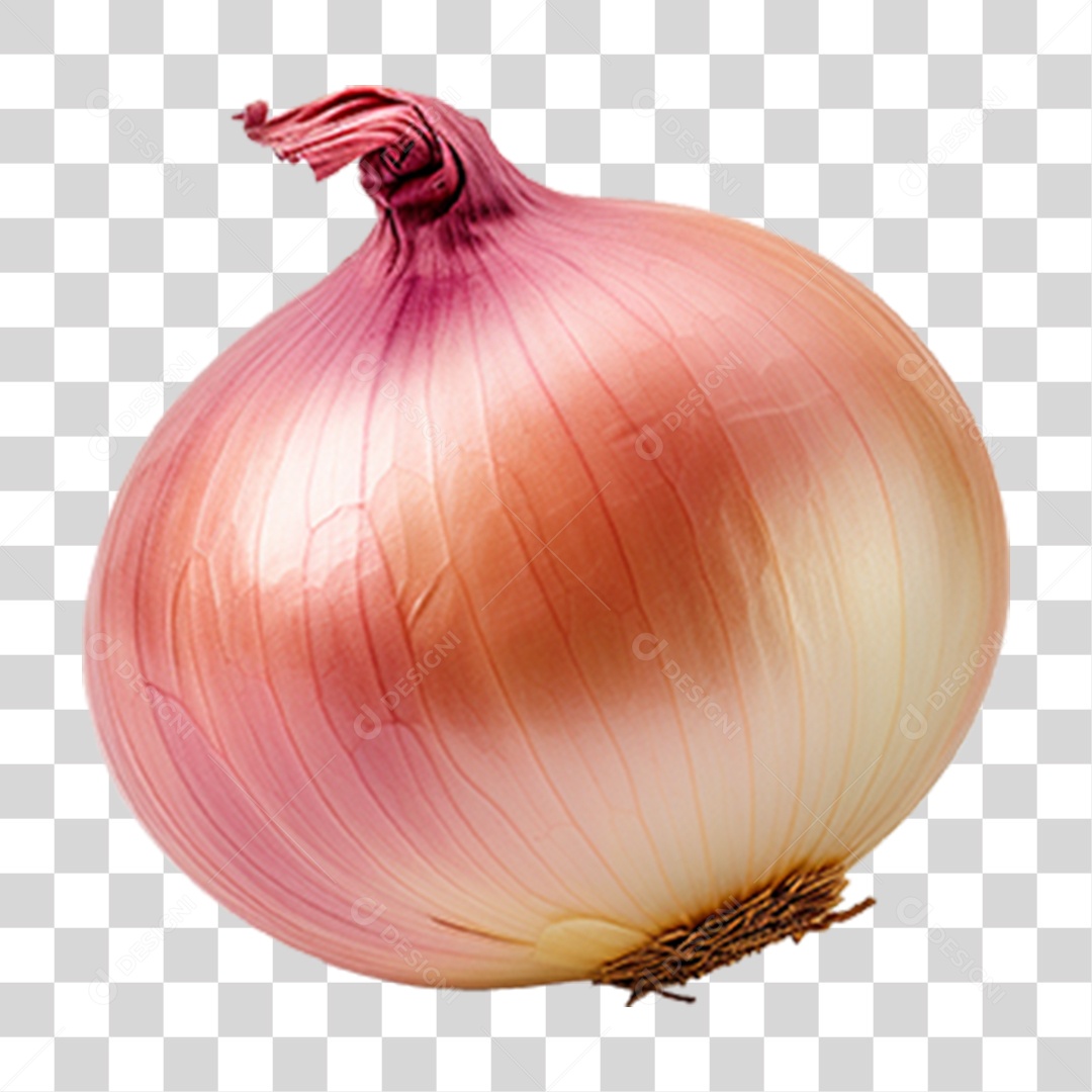 Cebola Legumes Temperos PNG Transparente