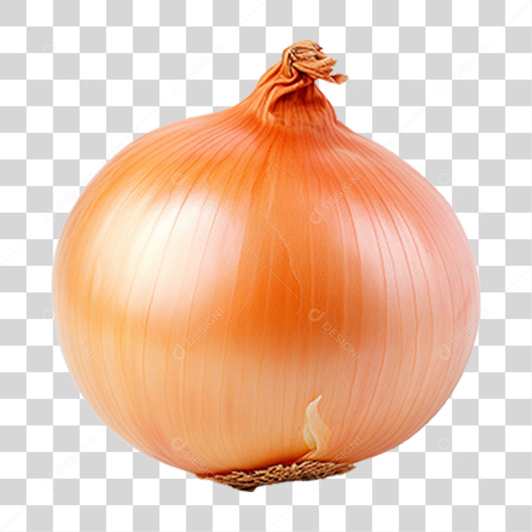 Cebola Legumes Temperos PNG Transparente