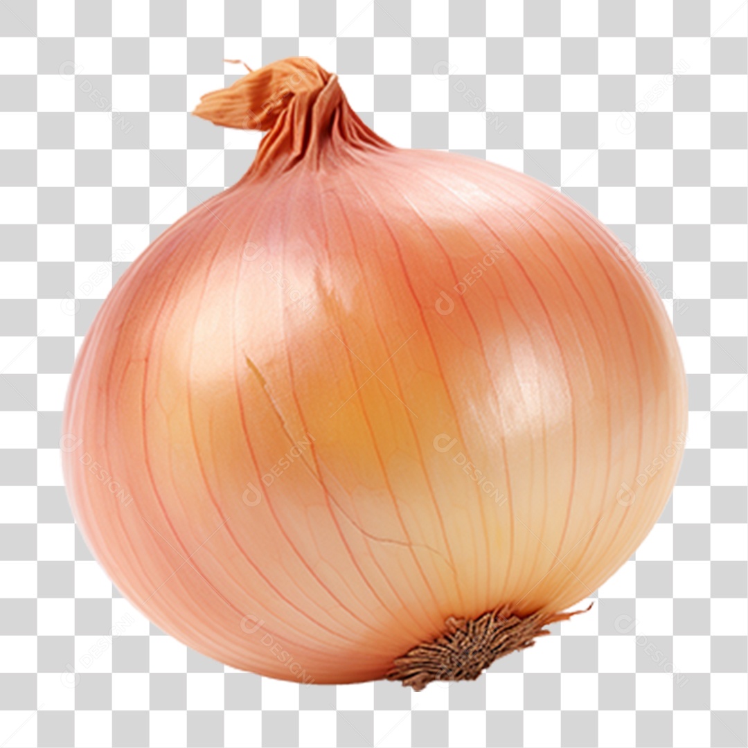 Cebola Legumes Temperos PNG Transparente