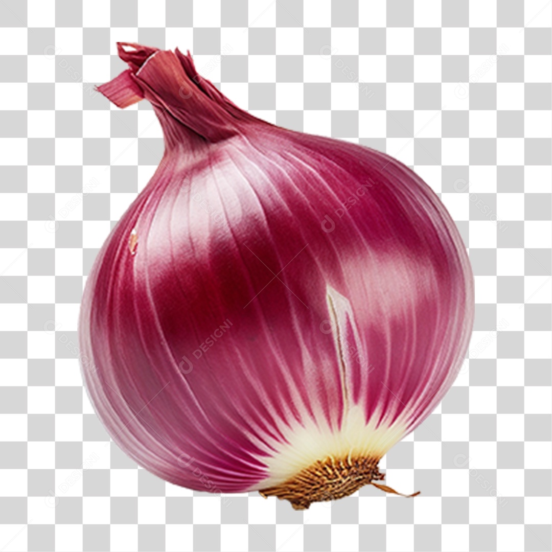 Cebola Legumes Temperos PNG Transparente