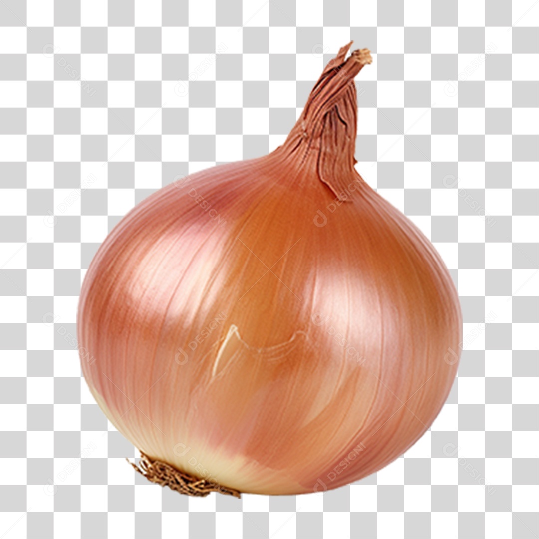 Cebola Legumes Temperos PNG Transparente