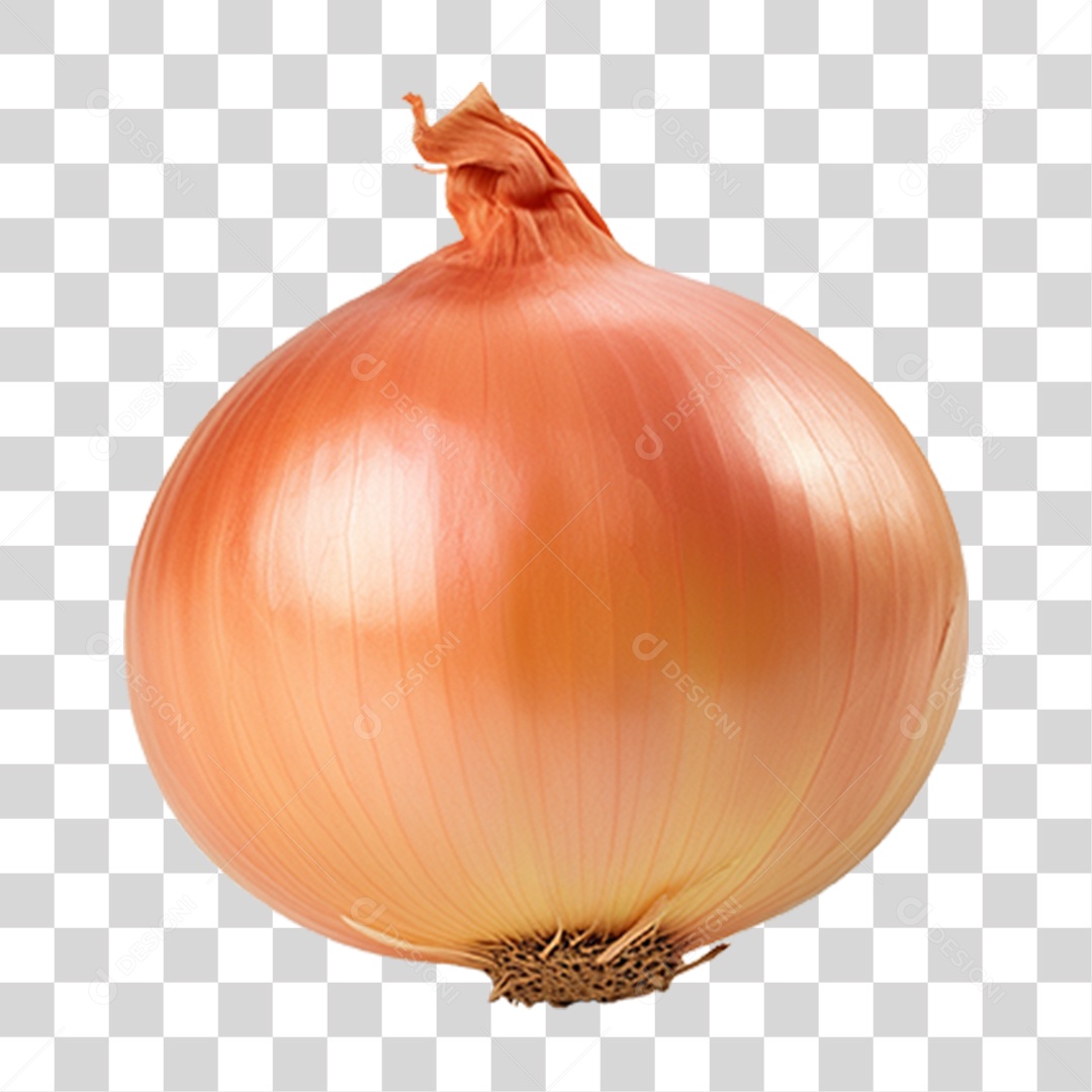 Cebola Legumes Temperos PNG Transparente