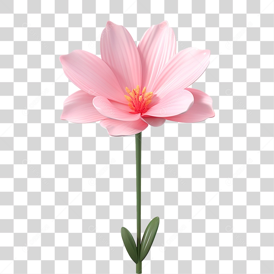 Flor PNG Transparente
