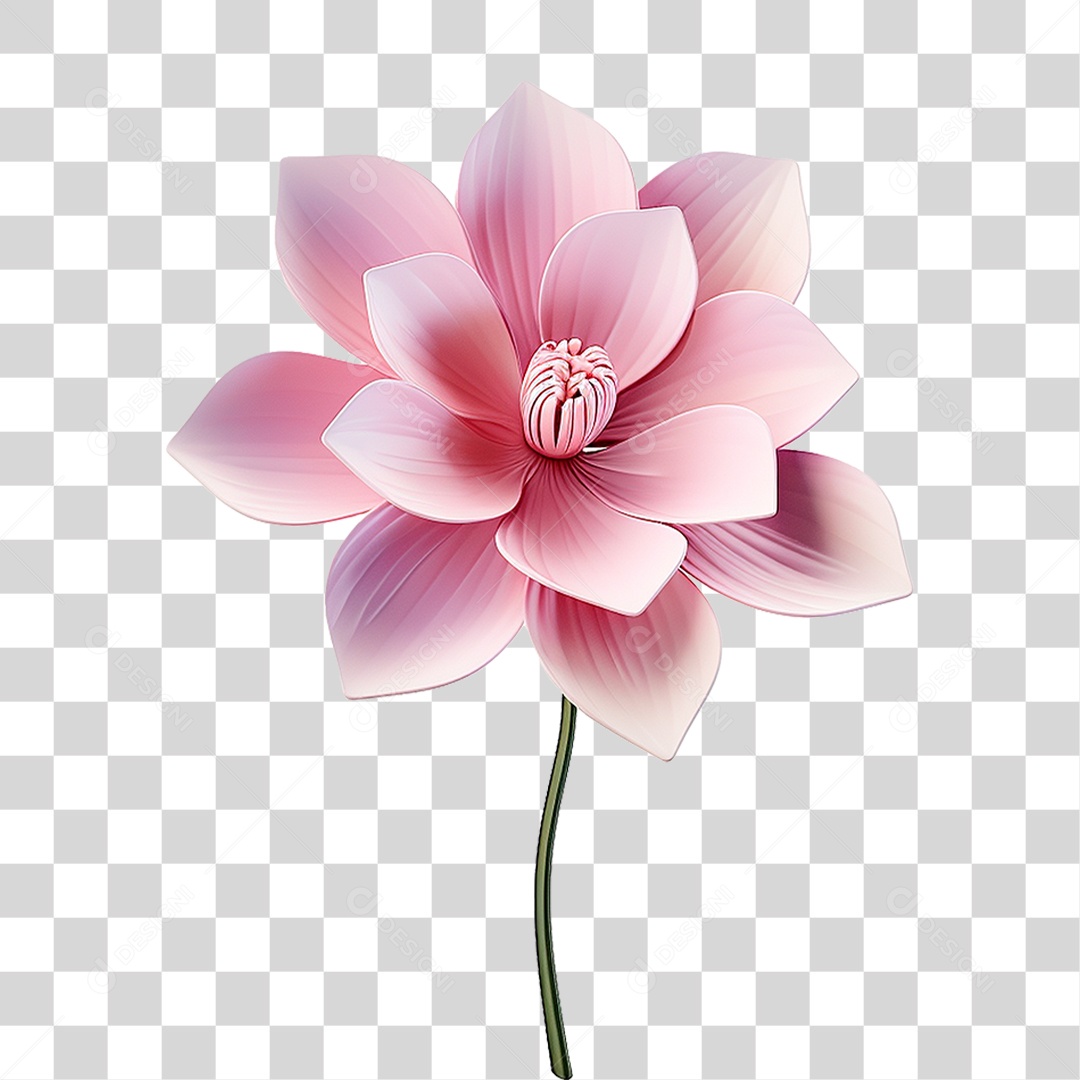 Flor PNG Transparente