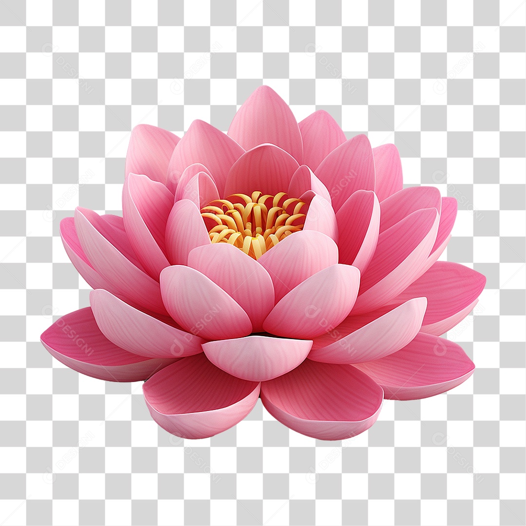 Flor de Lotus Rosa PNG Transparente
