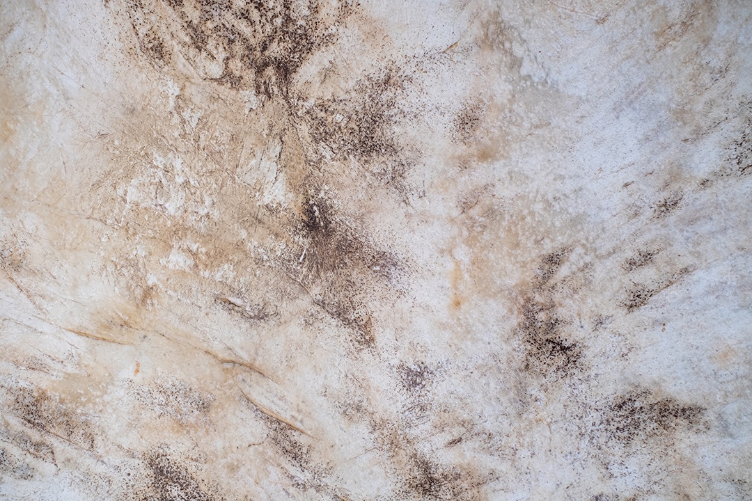 Pele de animal antigo de alta resolução de fundo