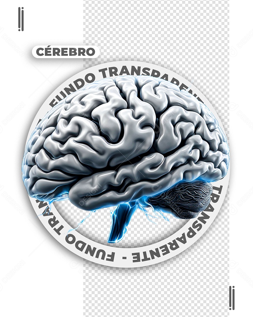 Cérebro Criado por Inteligência Artificial