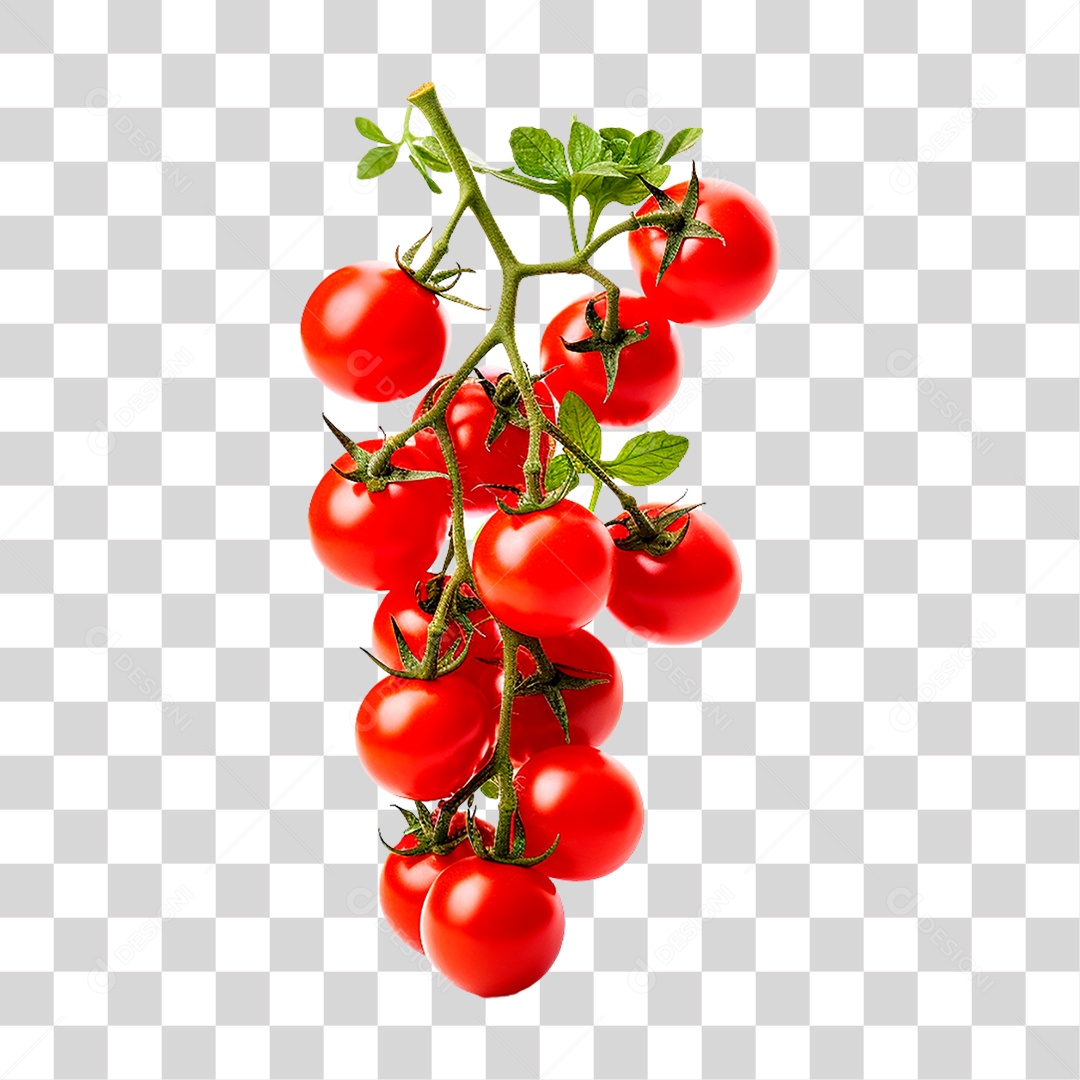 Tomate alimento PNG Transparente