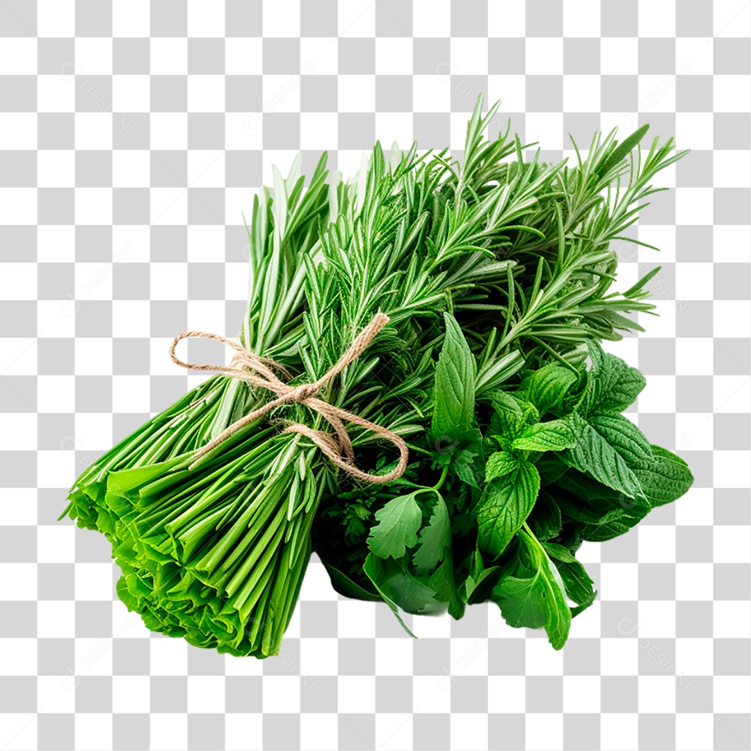 Ervas Frescas PNG Transparente