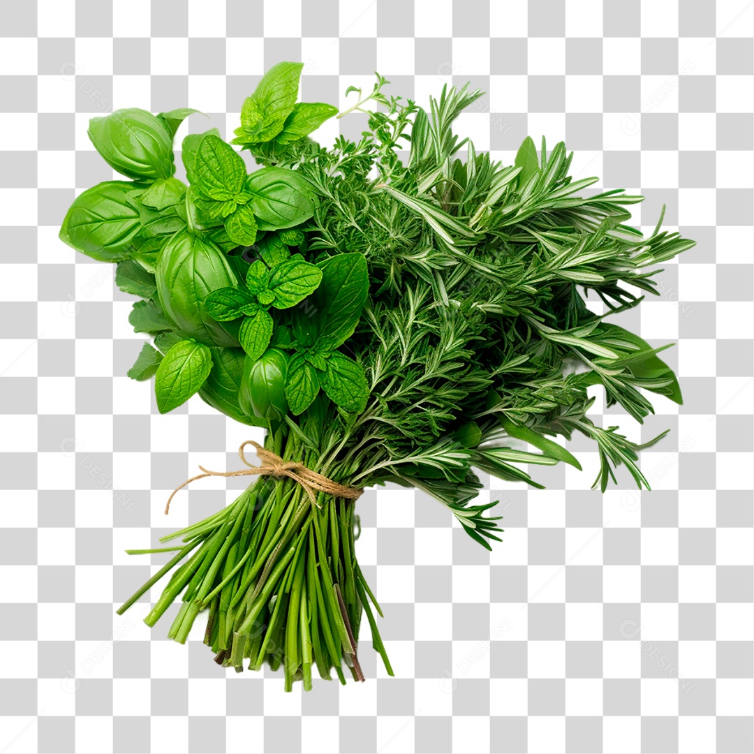 Ervas Frescas PNG Transparente