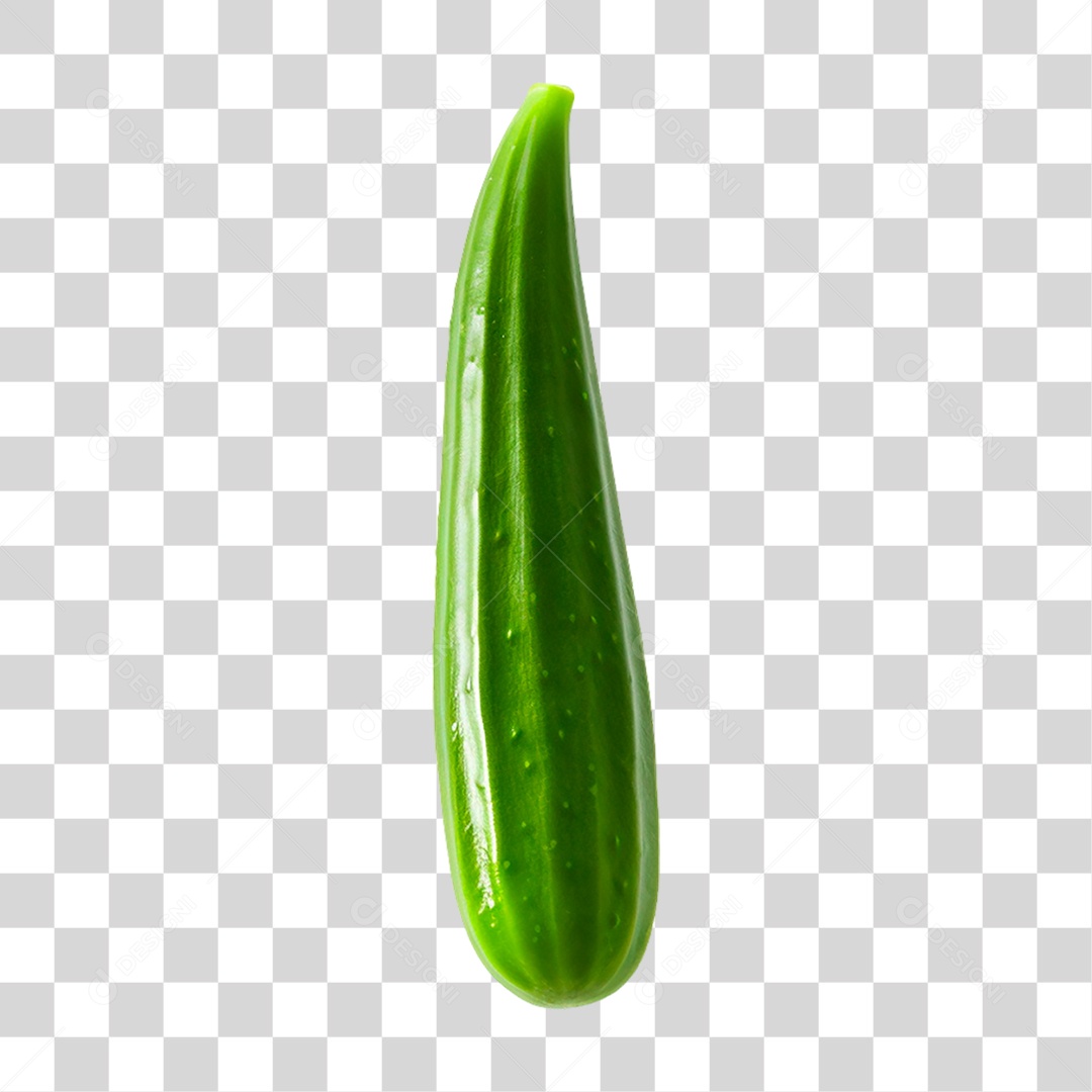 Pepino Fresco Legume PNG Transparente