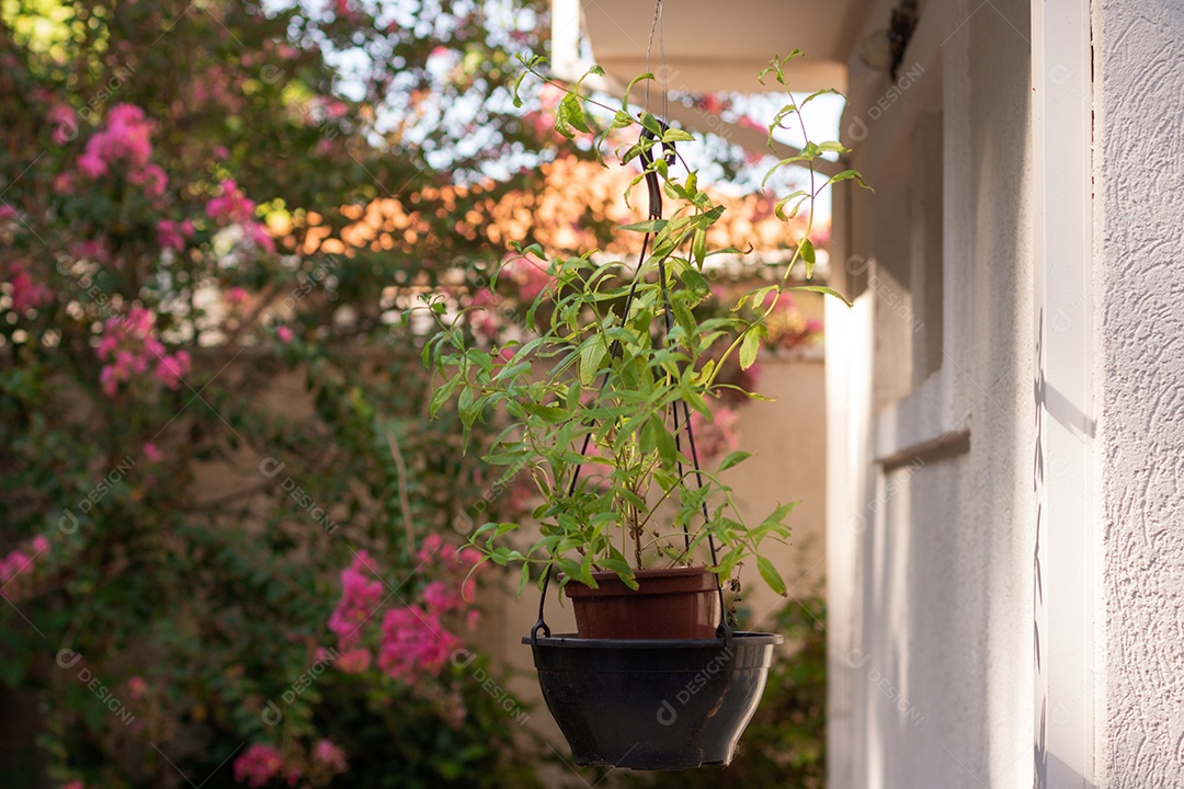 Vaso supenso com flores