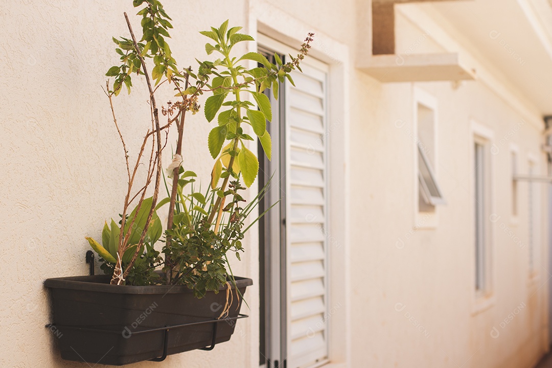 Vaso de jardim vertical caseiro com cebolinha, hortelã, mirtilo, manjericão.