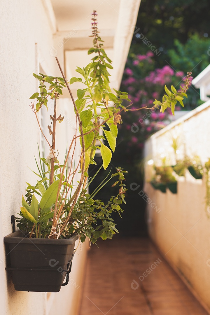 Vaso de jardim vertical caseiro com cebolinha, hortelã, mirtilo, manjericão.