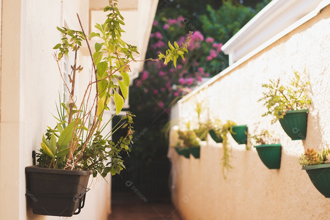 Vaso de jardim vertical caseiro com cebolinha, hortelã, mirtilo, manjericão.