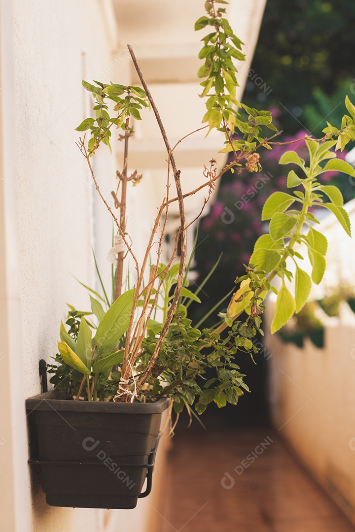 Vaso de jardim vertical caseiro com cebolinha, hortelã, mirtilo, manjericão.