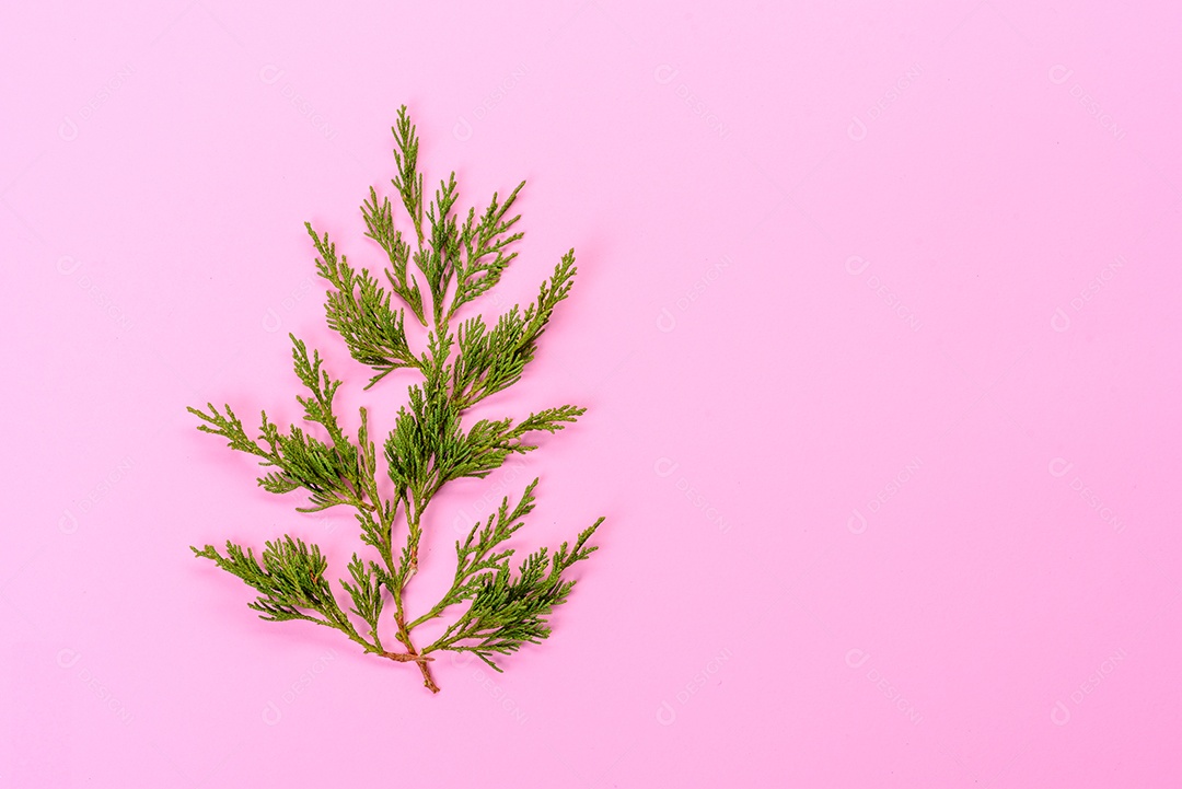 Fundo decorativo colorido brilhante de Natal com decorações de Ano Novo