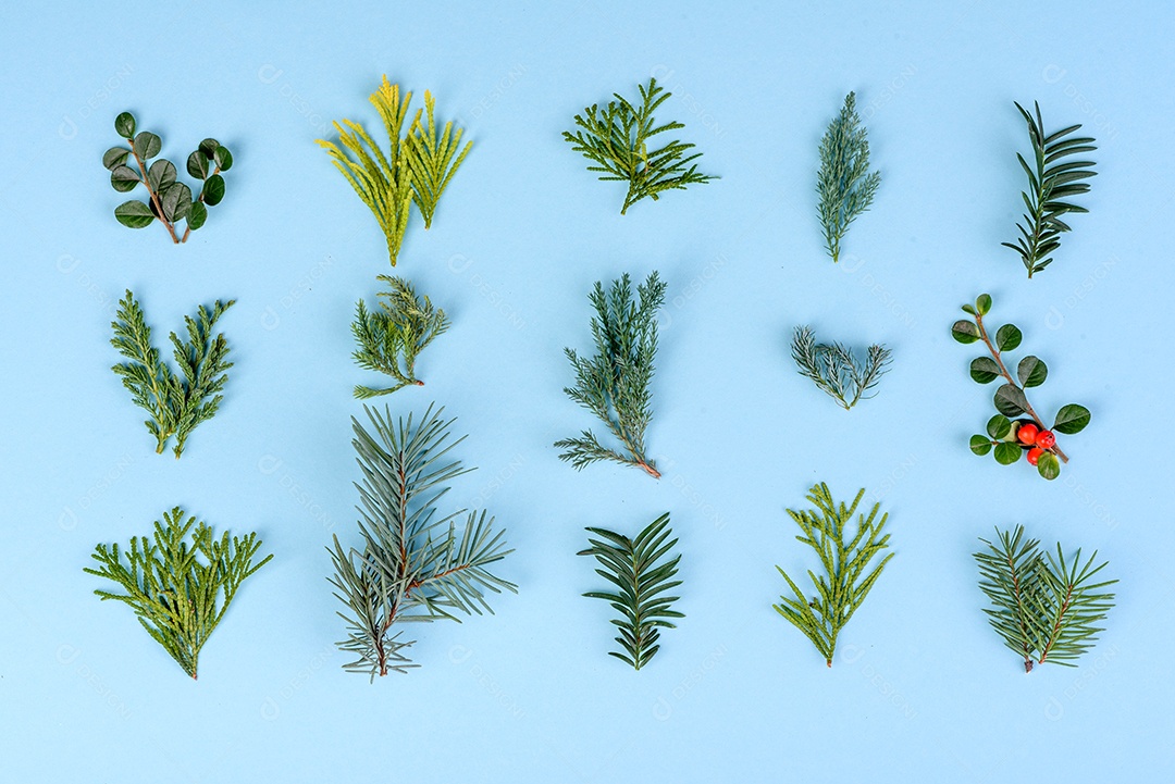 Fundo decorativo colorido brilhante de Natal