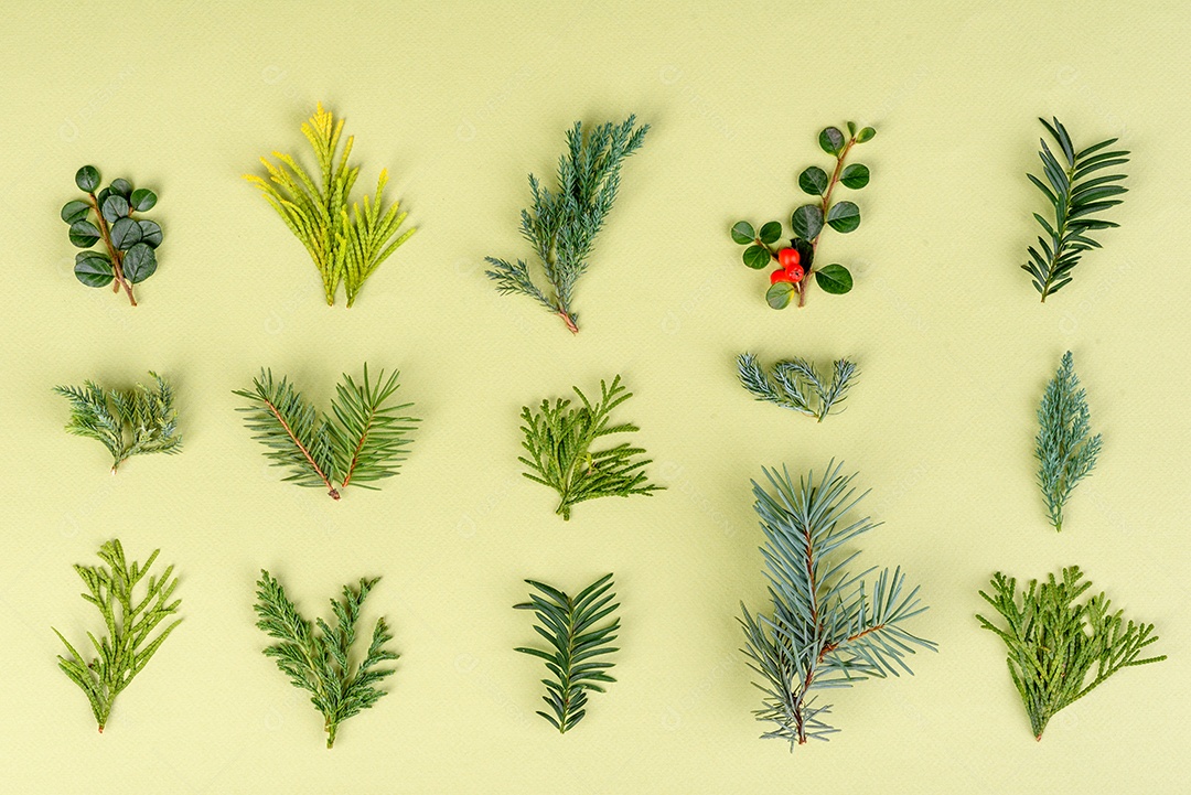 Fundo decorativo colorido brilhante de Natal