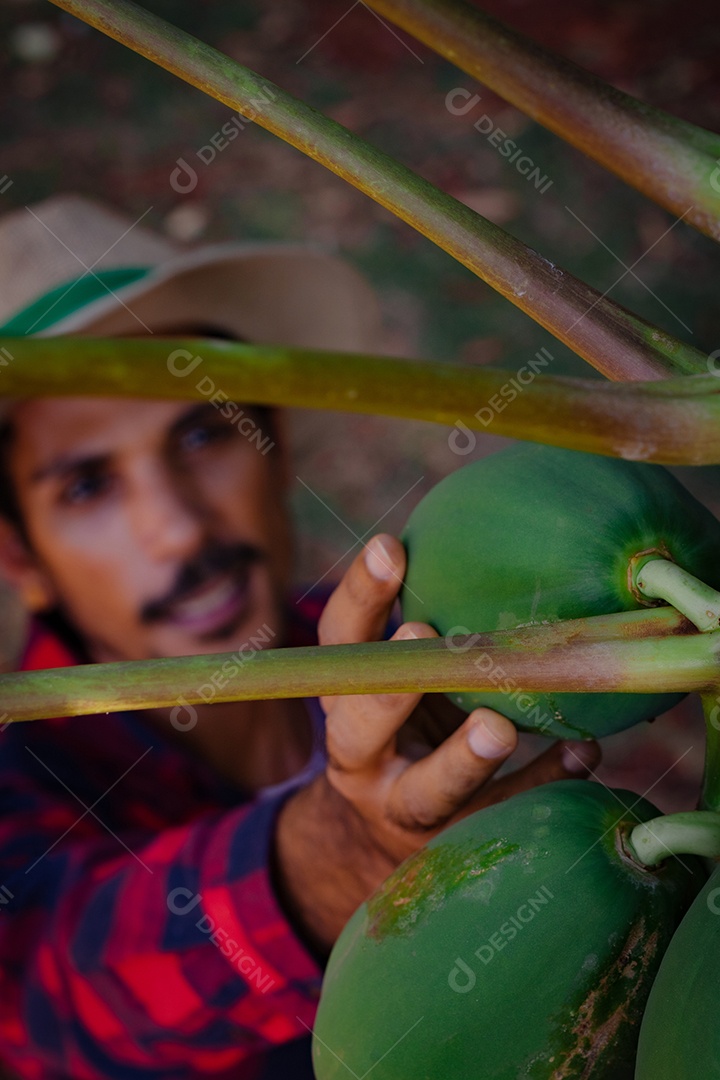 Jovem agricultor negro do sexo masculino trabalhando em frente ao portão dos agricultores.