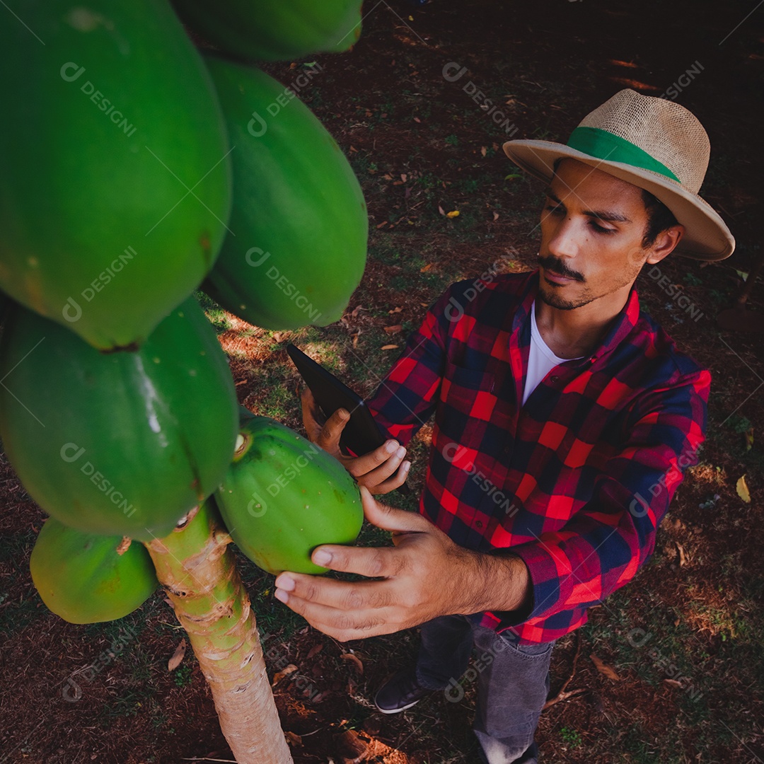 Jovem agricultor negro do sexo masculino trabalhando em frente ao portão dos agricultores.