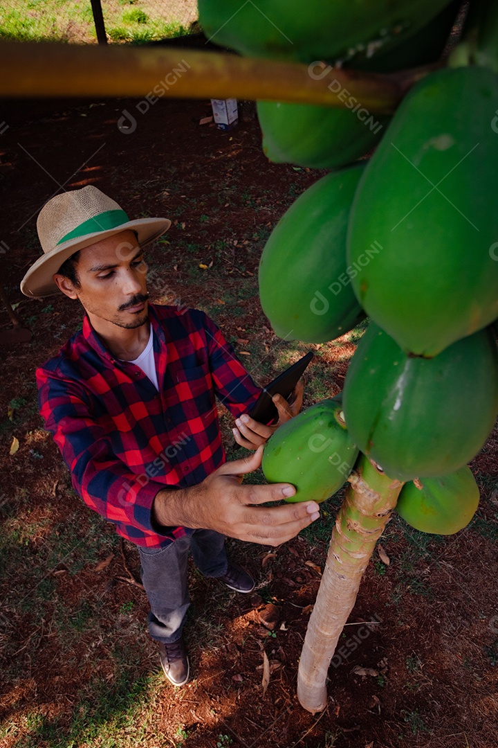 Jovem agricultor negro do sexo masculino trabalhando em frente ao portão dos agricultores.